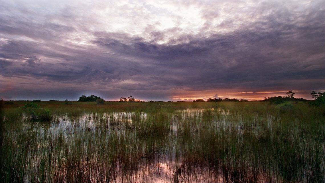 The South Florida Water Management District canceled an option to buy about 153,000 acres of sugar land, part of a historic deal cut by former Gov. and U.S. Rep. Charlie Crist.