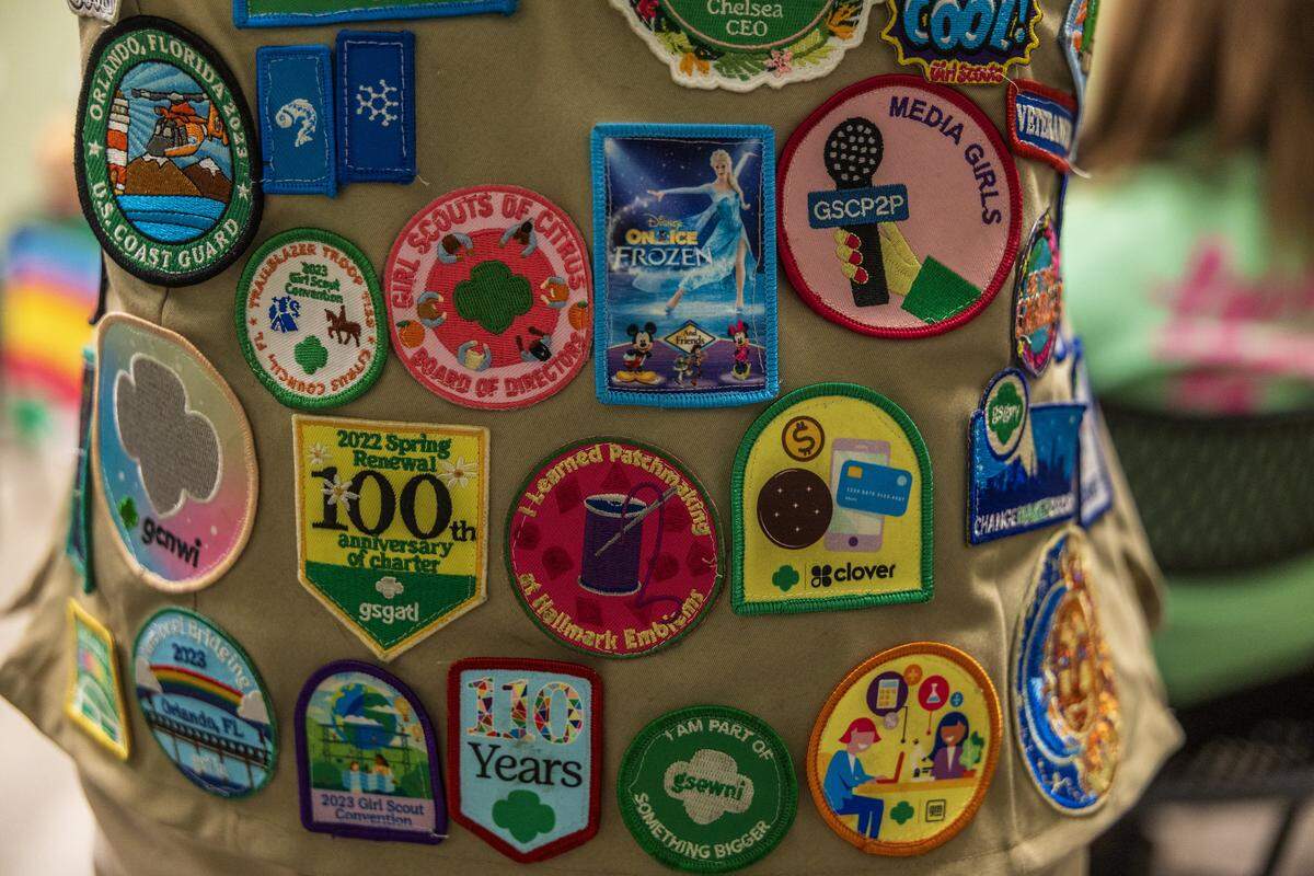 Badges won by Girl Scouts troop 347 members. 