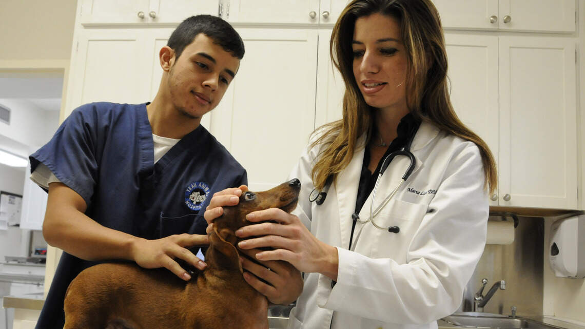 Don’t bring your unruly, unsupervised children to the animal hospital
