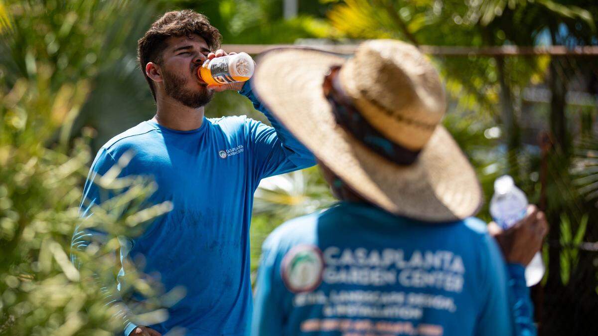 Outdoor workers at Casaplanta Garden Center, Ronny Fonseca (left) and Otty Bustos (right), stay hydrated at work on Friday, July 5, 2024 in Kendale Lakes, Fla.