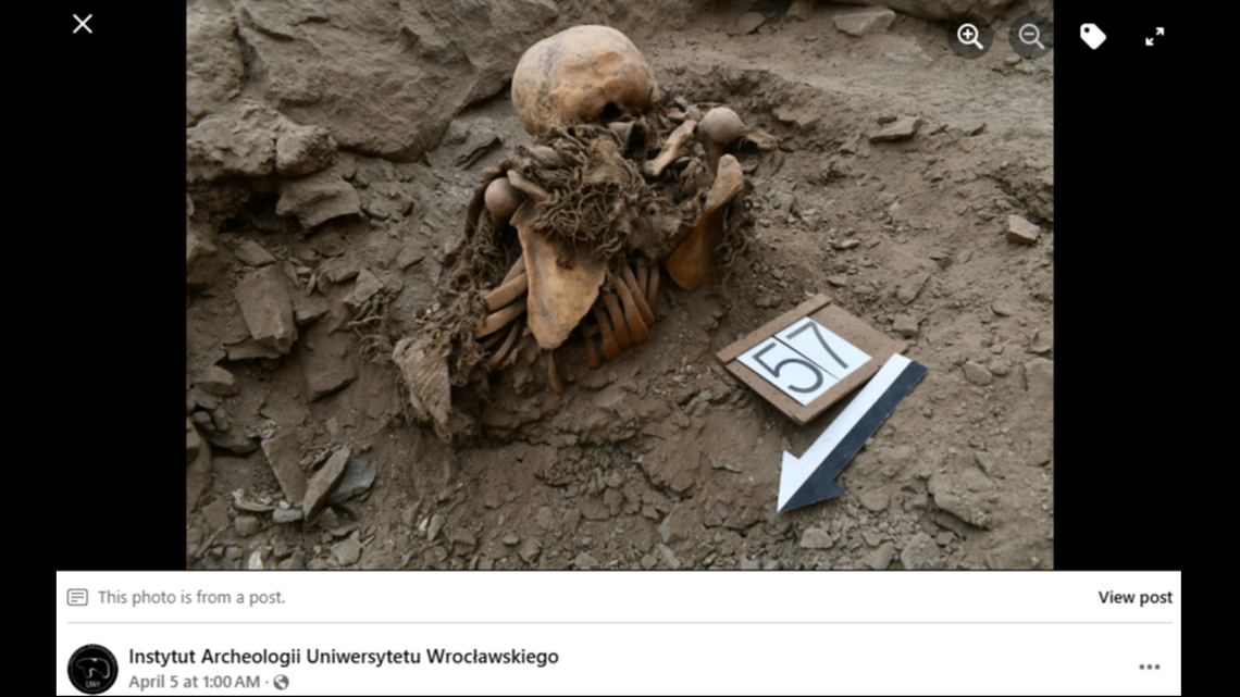 All of the bodies showed evidence of injury likely leading to their deaths, researchers said.