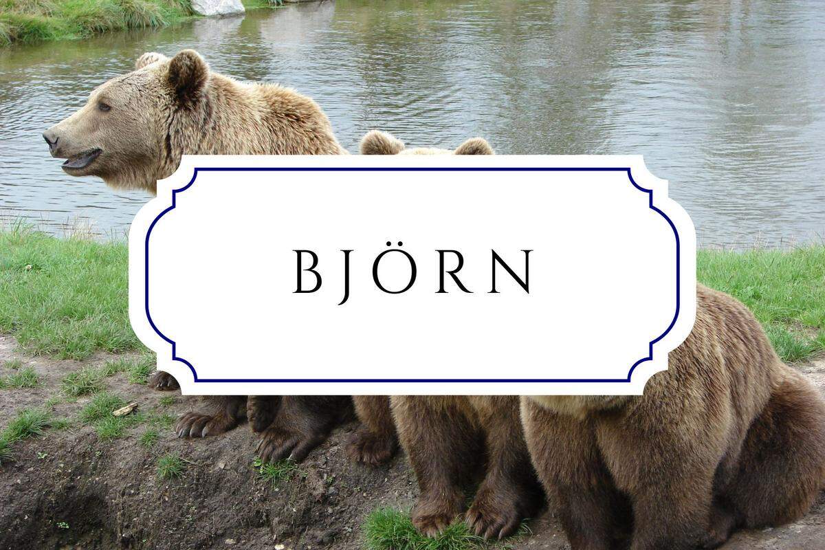 unique nature names björn