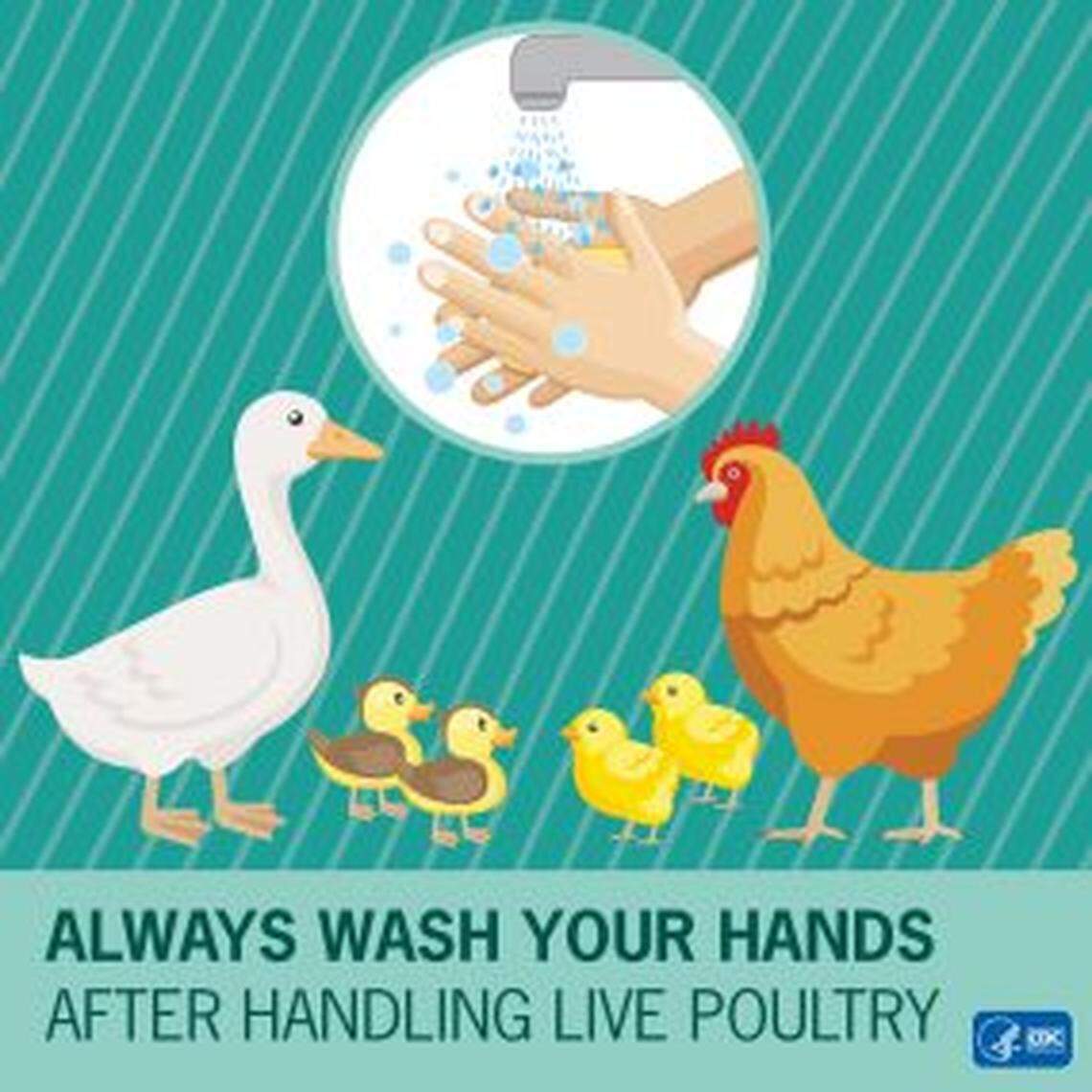 A reminder from the CDC