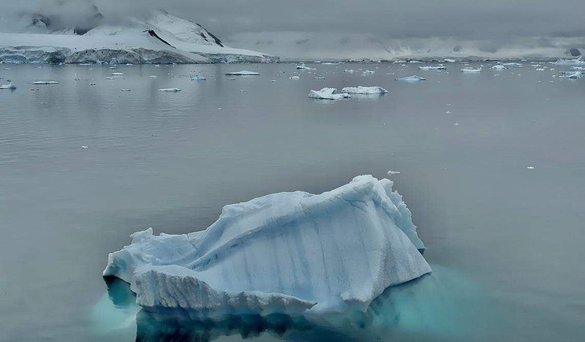During a research trip to Antarctica, a new species was caught in a trawling net.