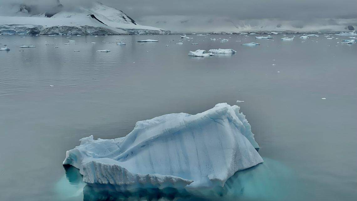 During a research trip to Antarctica, a new species was caught in a trawling net.