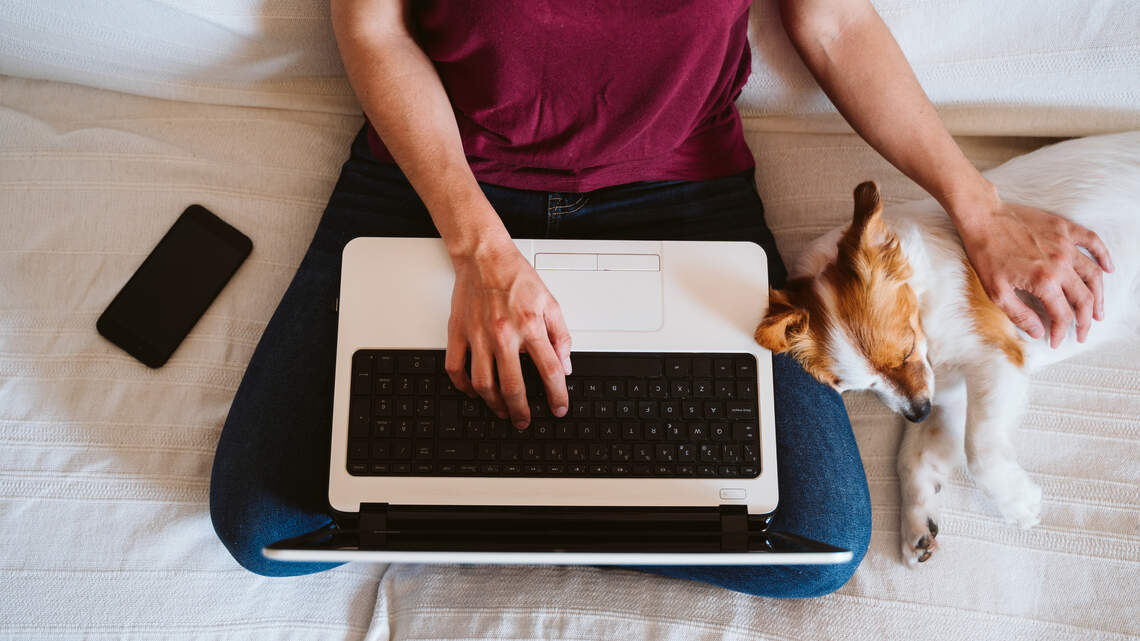 Pets have hit the jackpot, thanks to our work-from-home lifestyle 