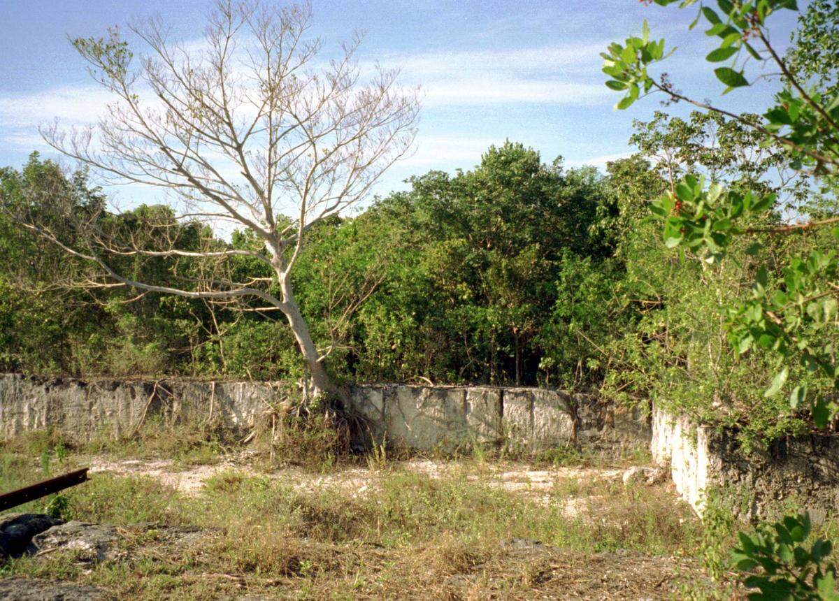 Las paredes de la cantera de Windley Key son únicas y apreciadas por los geólogos marinos.