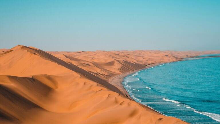 ‘Large’ desert creature with silver eyes found in Namibia. It’s a new species
