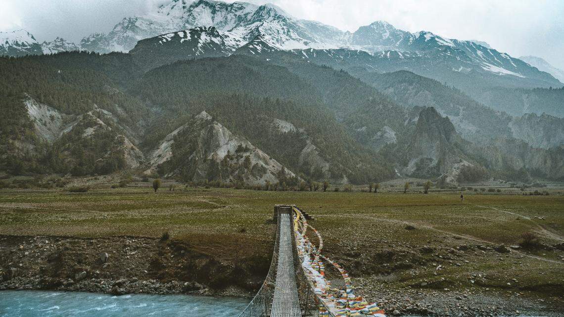 In the forests of the Himalayas, an elusive predator appeared on a trail camera in a new area.