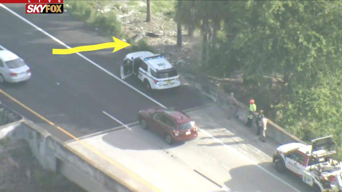 Seminole County Sheriff’s Office released this photo from a Fox 35 broadcast of a traffic jam on State Road 417 on April 27, 2022. The backup was caused by an 11-foot alligator (note the arrow) that wandered onto the roadway.
