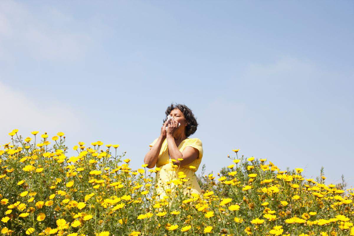 Allergy sufferers may not be surprised to learn that the Miami area has been running a medium-high forecast during much of March 2023. South Florida has seen little rain and hot, dry conditions.