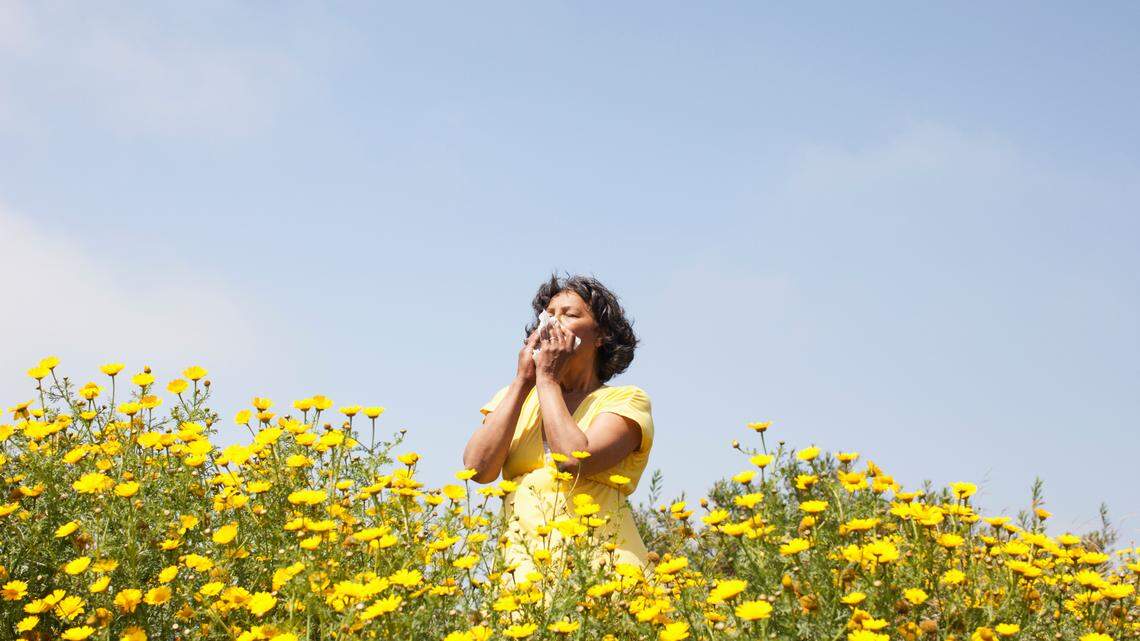 Allergy season ‘is already ramping up’ in California. What to expect in 2026