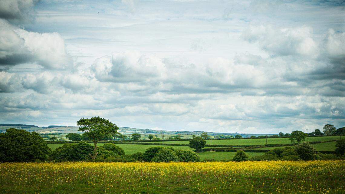 A metal detectorist in Llantrisant Fawr stumbled upon Roman and Iron Age pottery buried 2,000 years ago, archeologists said and photos show.