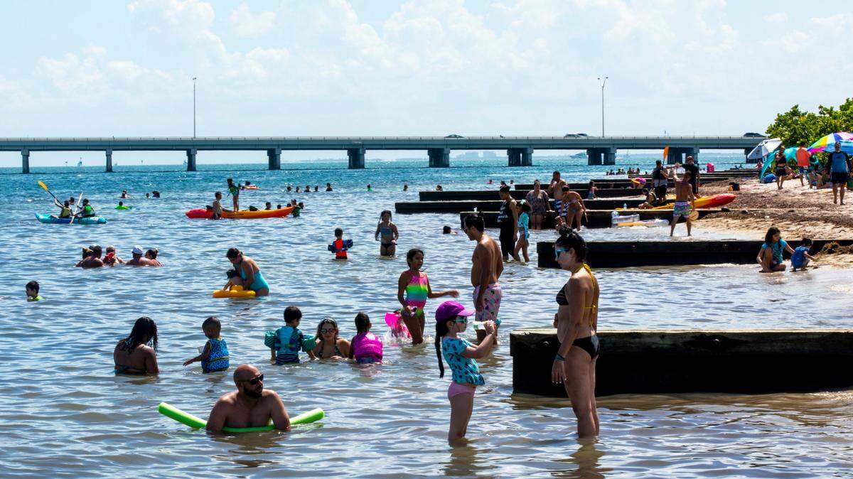 Beachgoers swim during the 75th anniversary celebration at Historic Virginia Key Beach Park on Aug. 8, 2020.