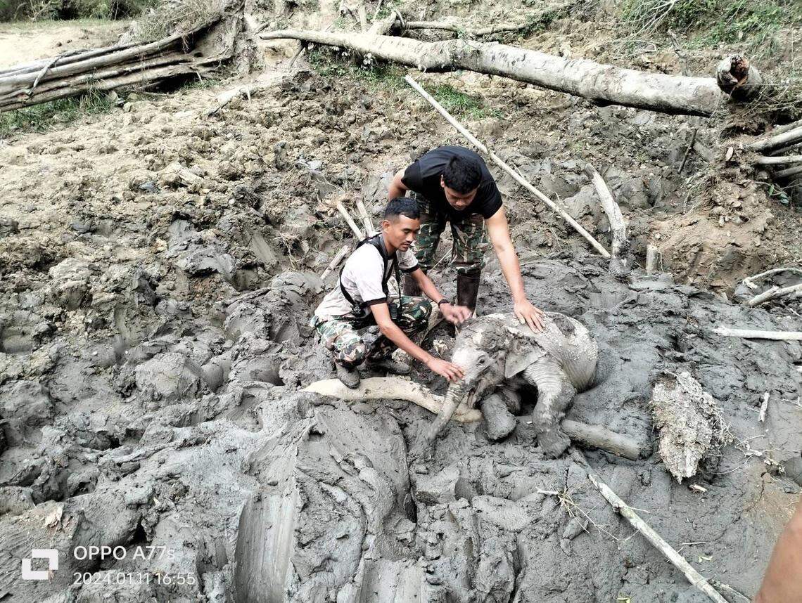 Rangers waited for the baby’s mom to leave the area before taking action, they said.