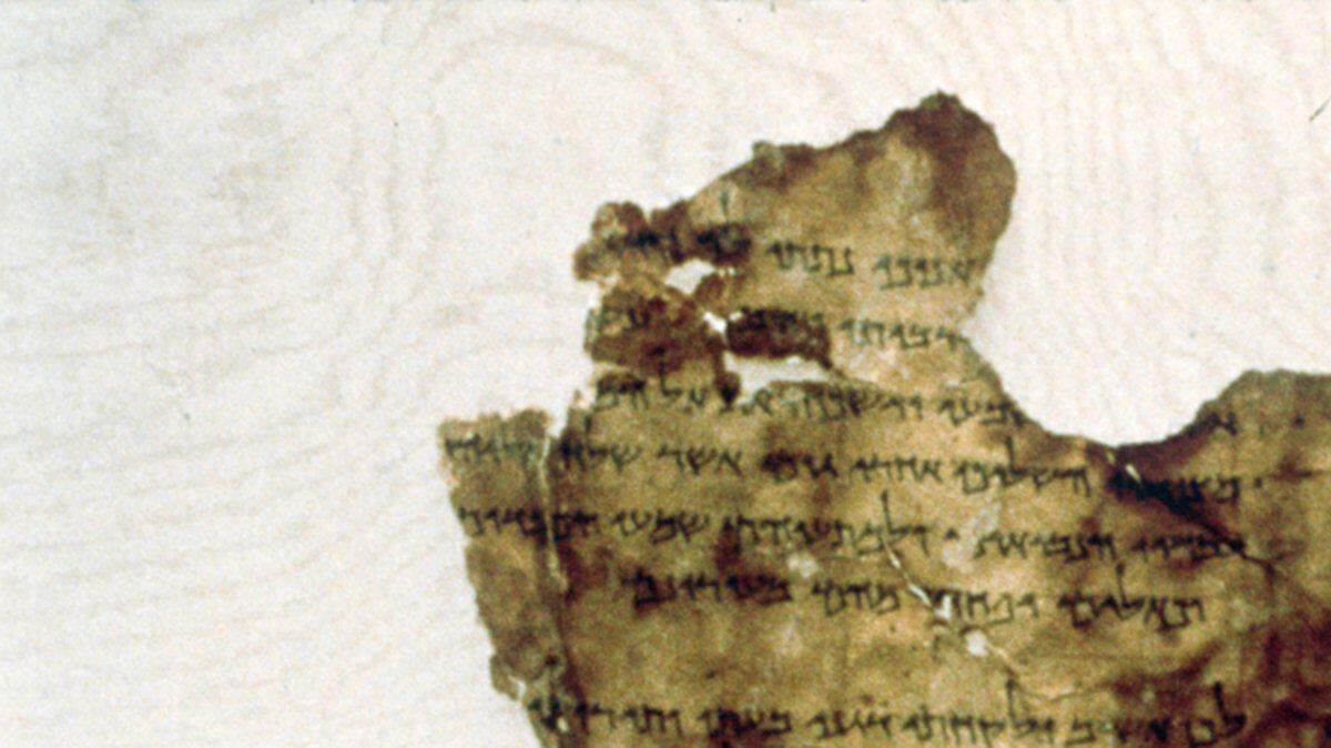 The Bible Museum in Washington, D.C, says five of its Dead Sea Scrolls in its collection might be fake after the ancient documents were tested in Germany.