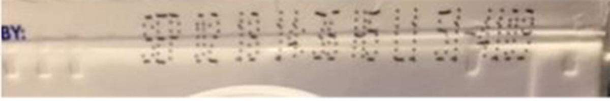 The recall of some Vanilla Almond Breeze cartons only applies to cartons stamped with this information on the top label: