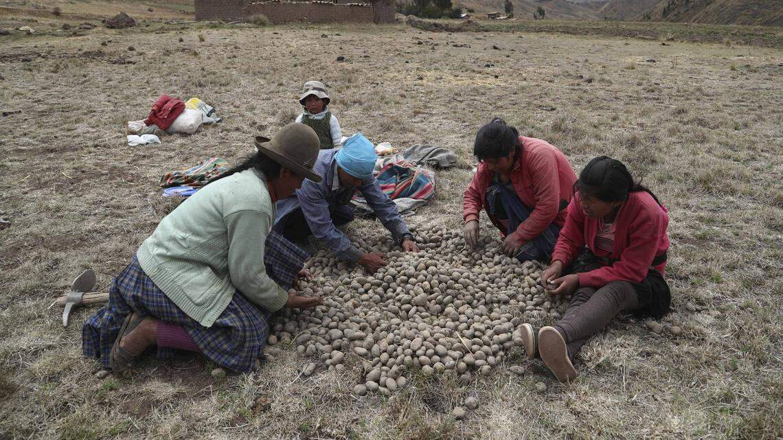 Despite pandemic learning losses, some Latin American nations declare absurd school holidays | Opinion