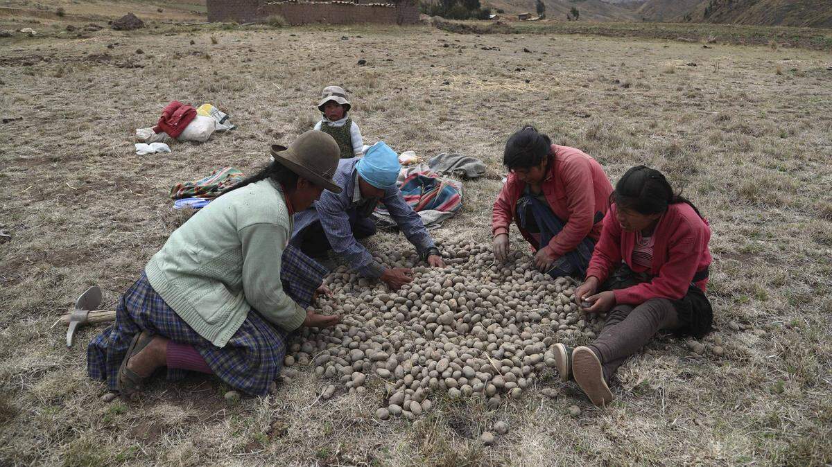 Perú, which already had 16 school holidays, declared June 24 a national holiday to celebrate the “Day of the Peasant.”