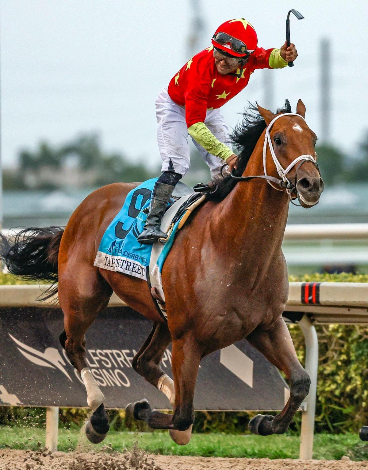 Tappan Street, ridden by Luis Saez, is a top Kentucky Derby contender after winning the Florida Derby last month.