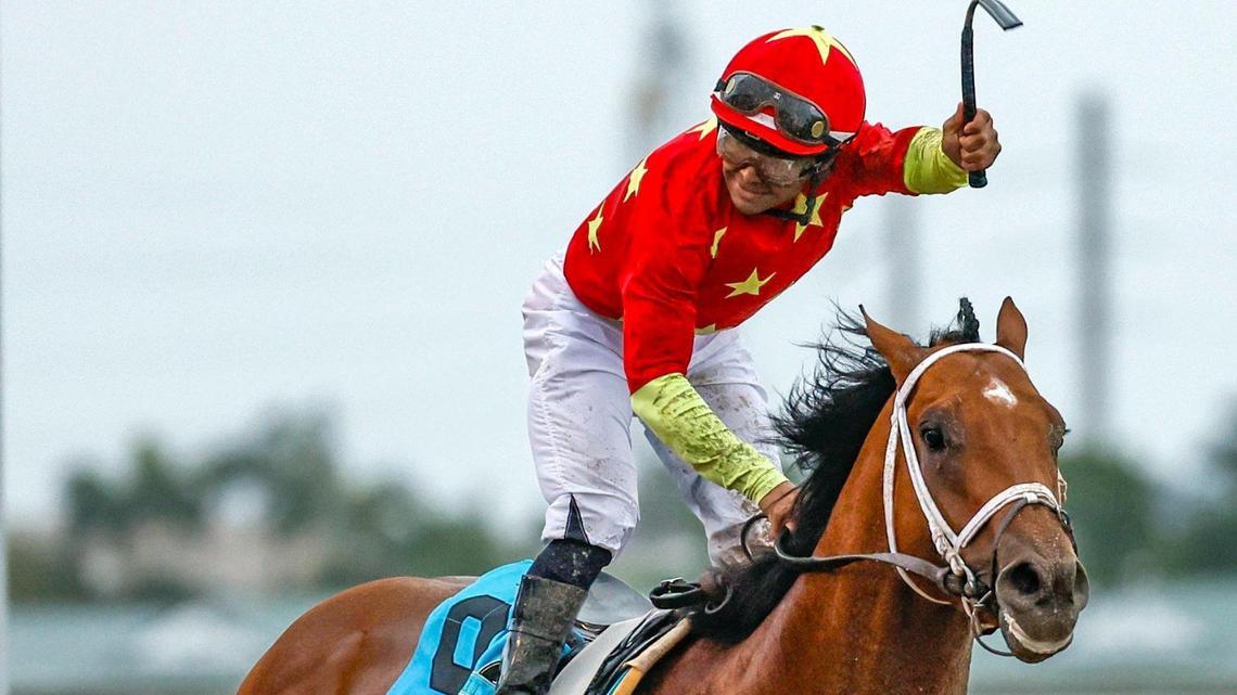 Disco Time the betting favorite at Pegasus World Cup