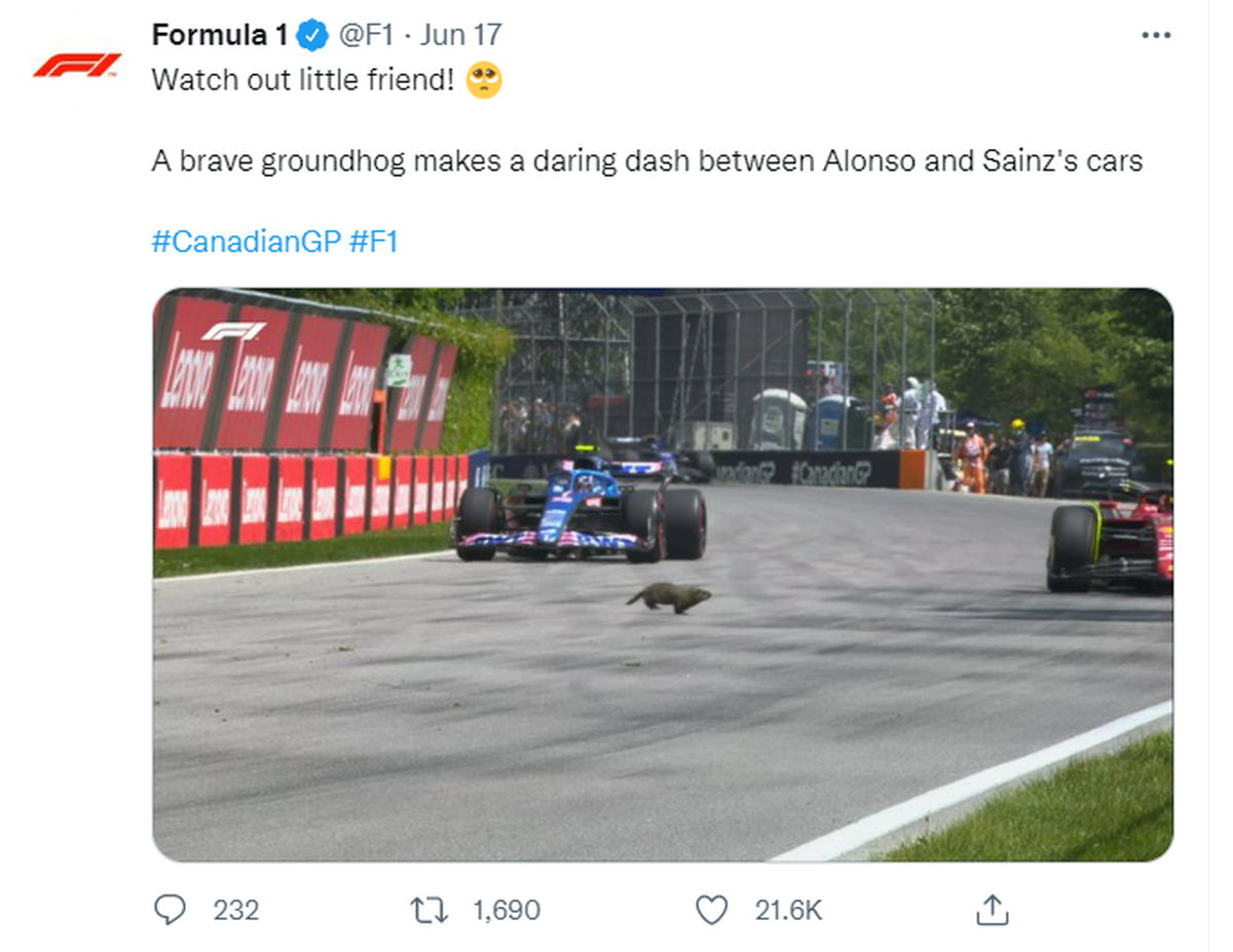 A groundhog scurried across the track in Montreal during a practice run for the Canadian Grand Prix. It safely made it to the other side, avoiding the Formula One cars of Fernando Alonso and Carlos Sainz on Friday, June 17, 2022.