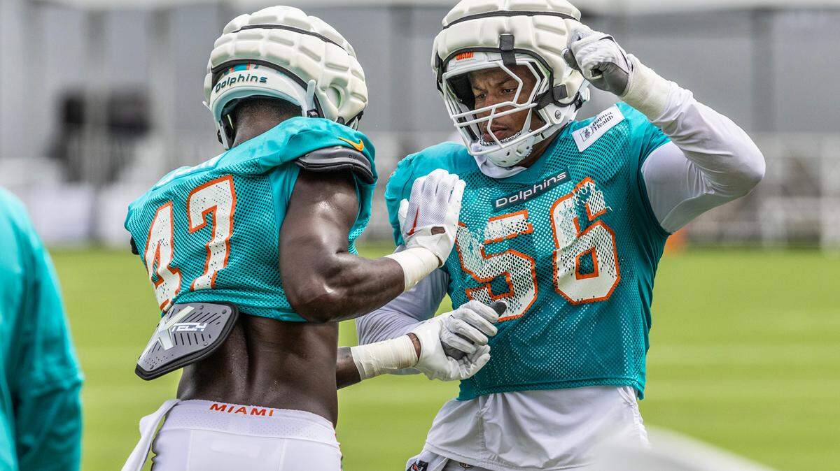 Miami Dolphins linebackers Cam Brown (47) and Quinton Bell and (56) run through practice drills during practice at Baptist Health Training Complex in Miami Gardens,FL on Saturday, August 3, 2024.