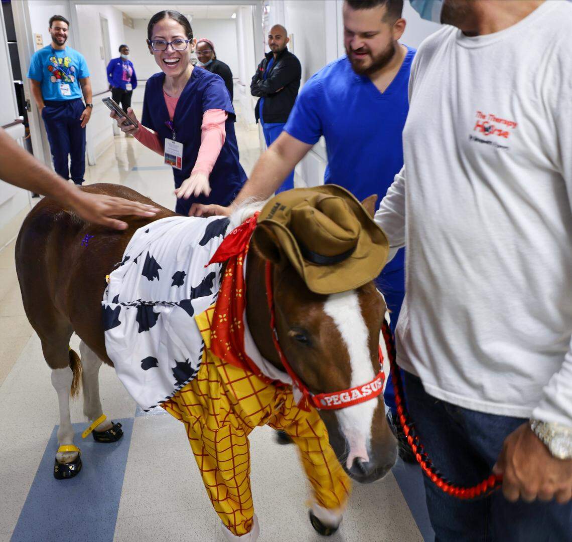 Pegasus, dressed as the Toy Story character Woody, is greeted with excitement and awe while Alexandra Ramos visits young patients with the miniature horse at Holtz Children’s Hospital at Jackson Memorial on Thursday, Aug. 15, 2025, in Miami. 