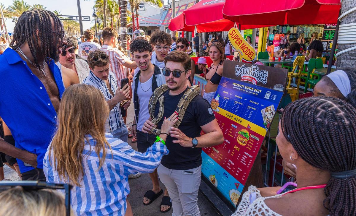 Spring breakers checks a man named Murillo displaying his snake pet at Fort Lauderdale Beach on Thursday March 20, 2025.