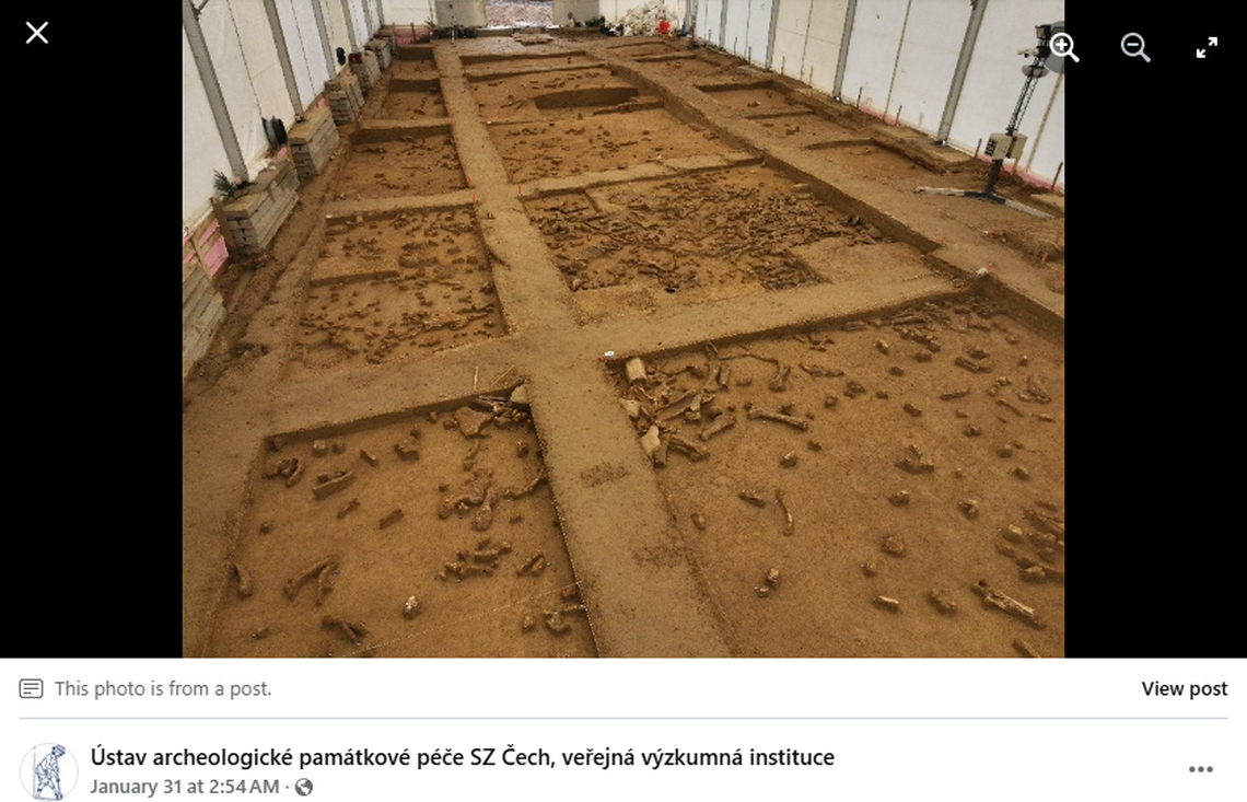 Thousands of animal bones were found at the site from dozens of species, researchers said.