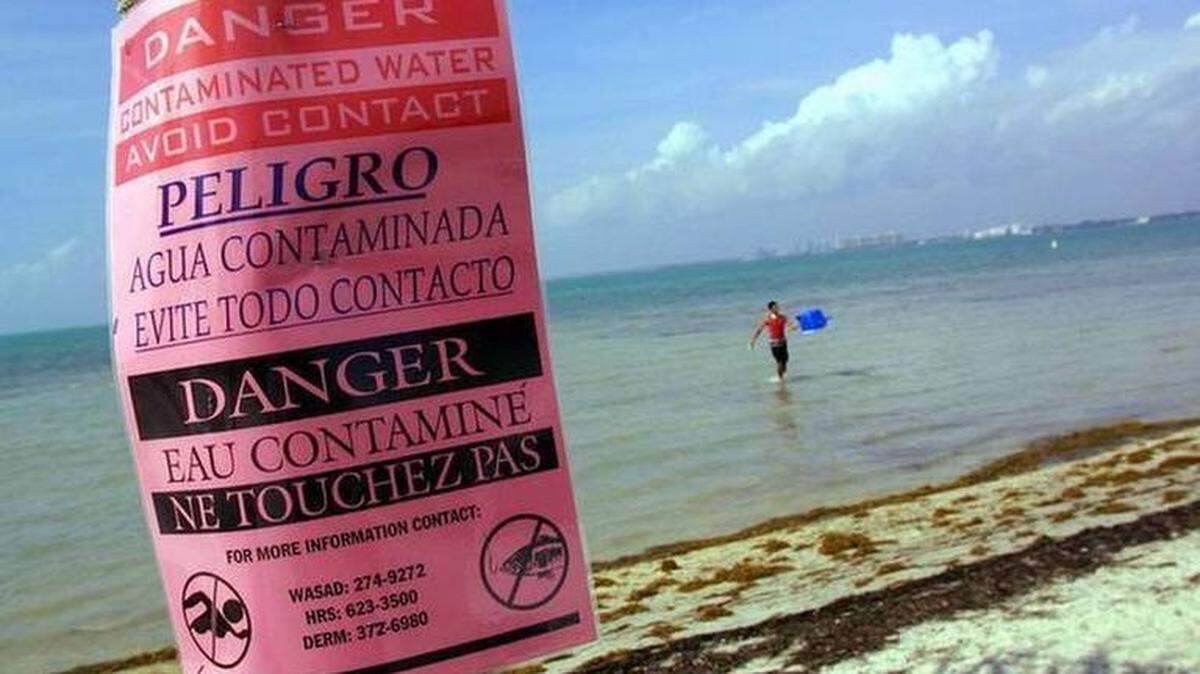 Nutrients from septic tanks in Miami-Dade County are have been depleting oxygen in Biscayne Bay.