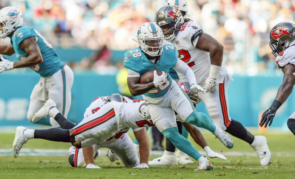 Dolphins have surprising number of players who led their league. Exploring