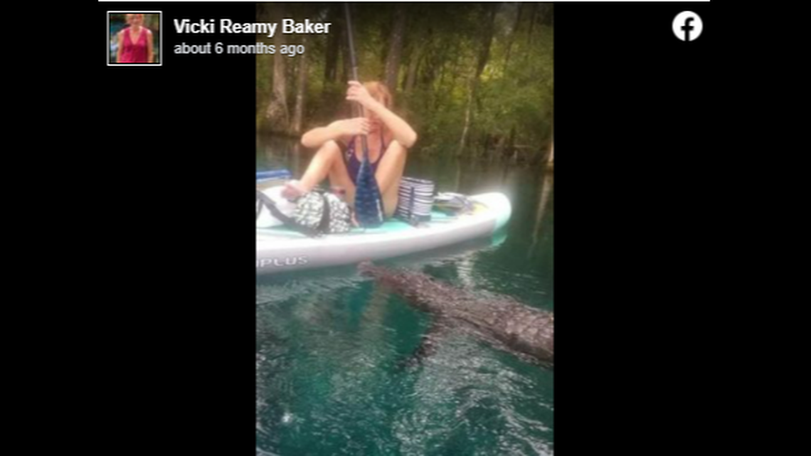 The alligator was seen repeatedly approaching the paddleboard of Vicki Reamy Baker of Ocala, Florida.