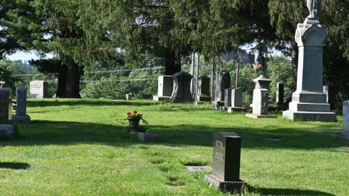 east lawn cemetery ground nesting bees