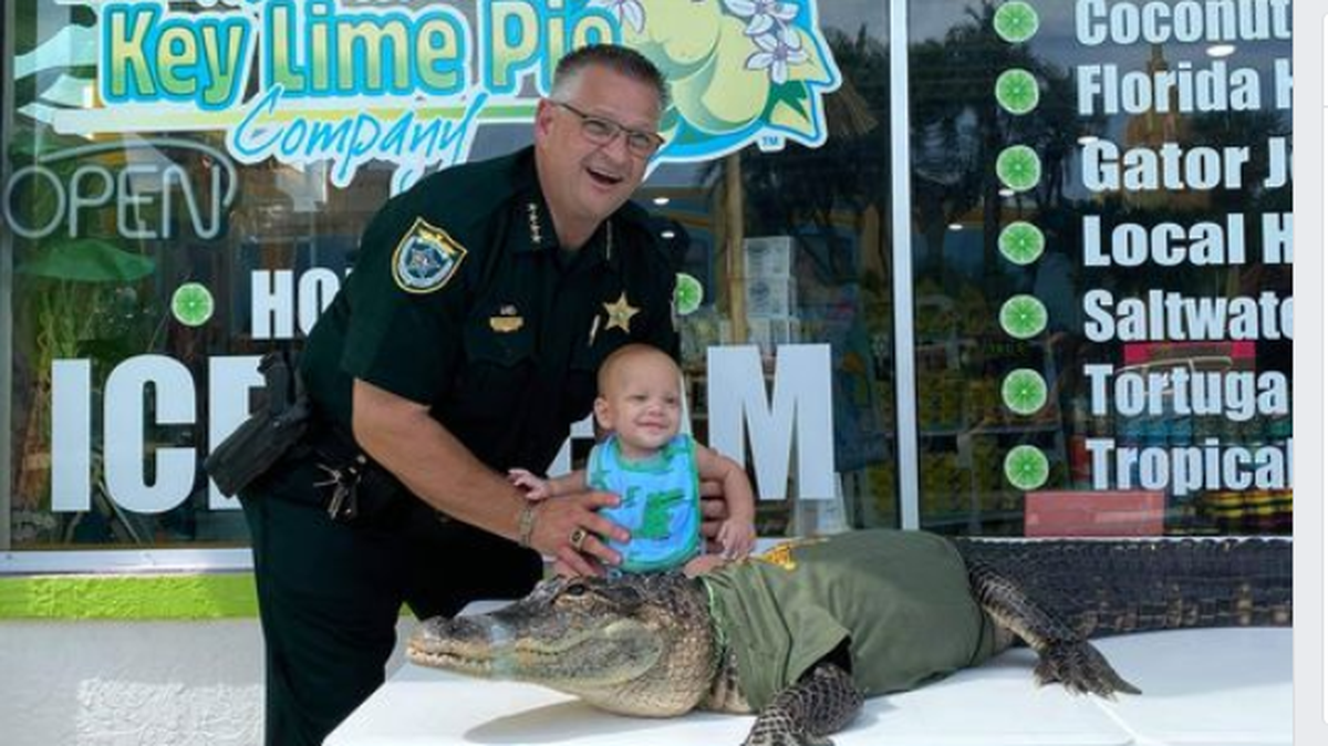 Brevard Sheriff Wayne Ivey deputizes Sweetie the gator at a swearing in ceremony.