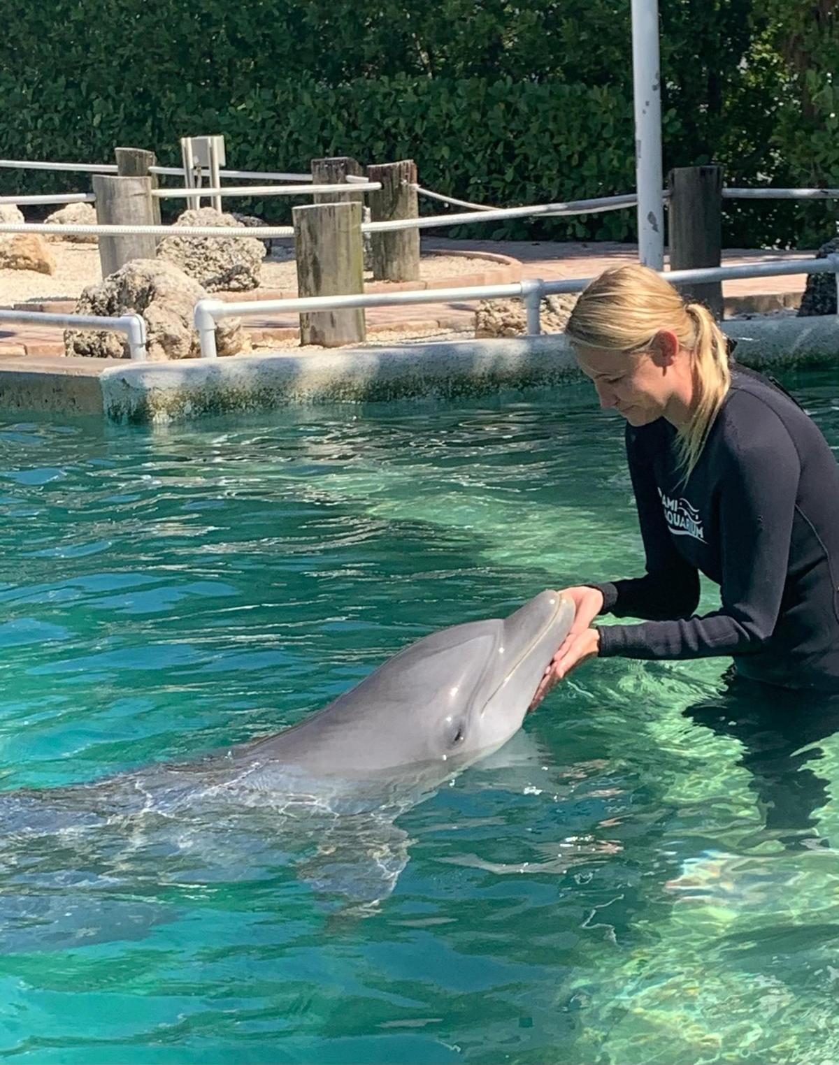 Former Seaquarium vet Dr. Jenna Wallace with one of the marine park’s bottlenose dolphins. 