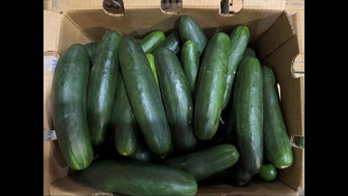 A box of Fresh Start Produce Sales cucumbers, which have been recalled in 14 states.