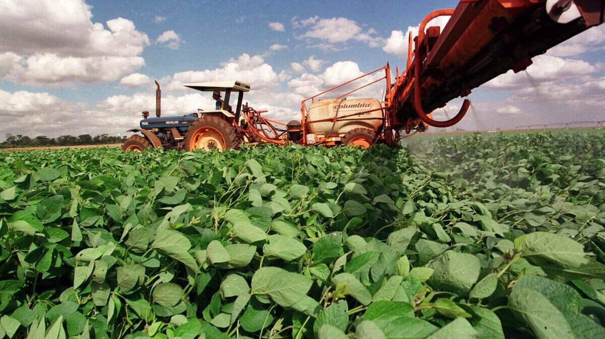 La agricultura, hoteles y restaurantes son los más impactados cuando no hay trabajadores indocumentados.