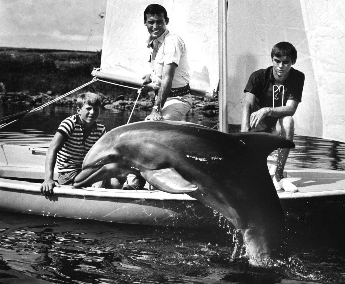 The “Flipper” series, which ran 1964-1967, employed seven dolphins to play the lead role with Tommy Norden, left, Brian Kelly and Luke Halpin.