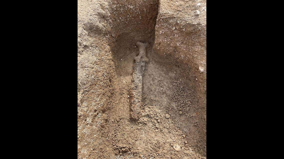 Celtic swords, more than 2,000 years old, were found at a necropolis in central France, officials said.