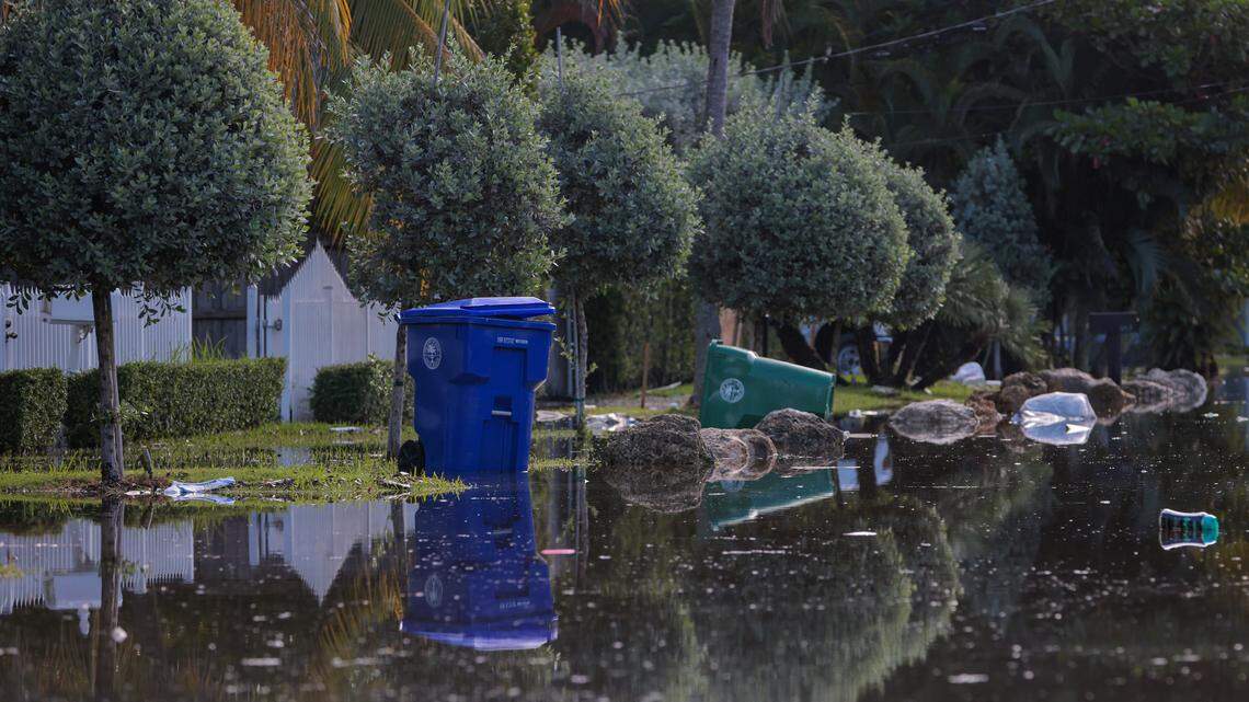 Flooded waters cover the driveways to multiple homes as trash floats along NE 78th Street due to king tides in Miami, Florida, Monday, October 6, 2025.