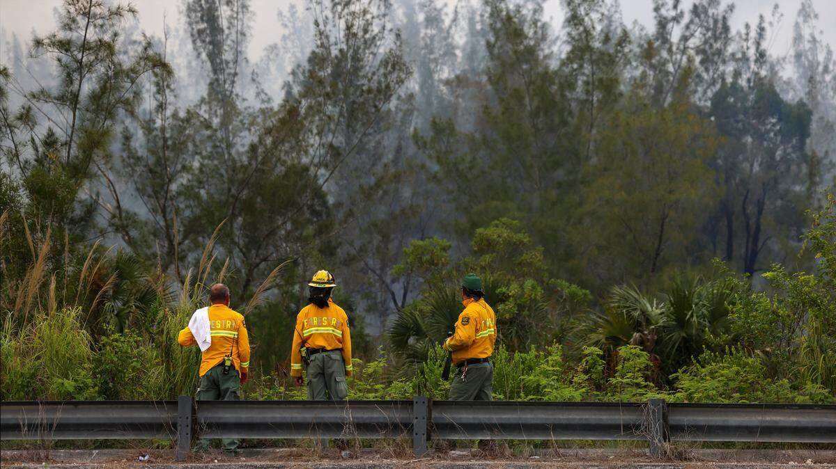 Florida Forest Service personnel monitor a wildfire just west of U.S. 1 and SW 344th Street while battling the blaze with helicopter water drops and ground crews on Monday, May 11, 2026, in Florida City, Fla.
