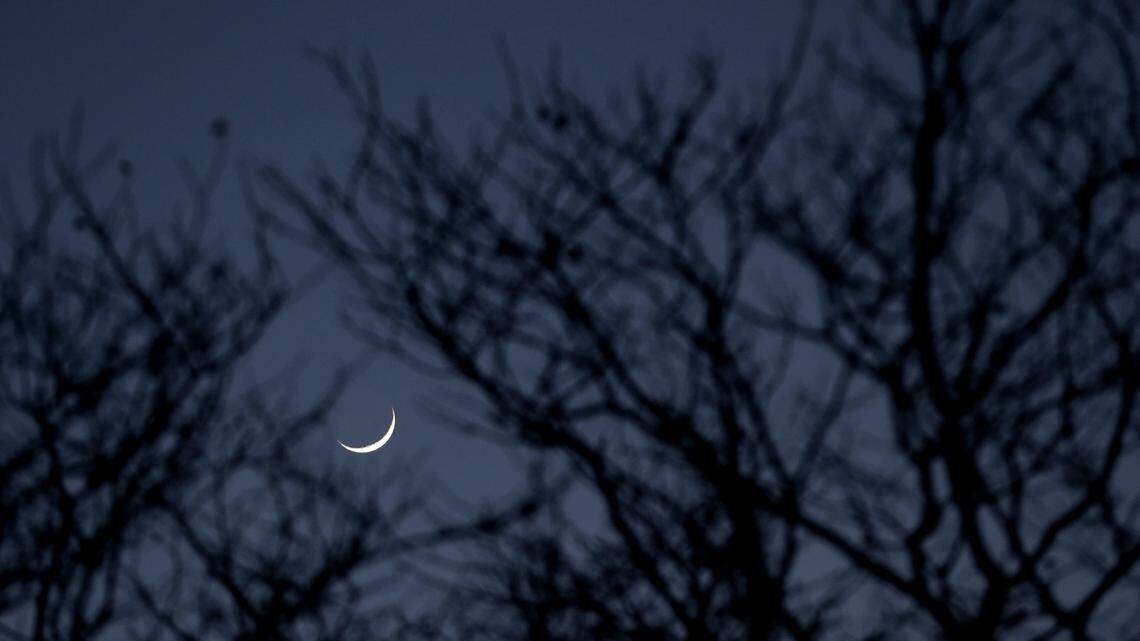 The lead researcher said he instantly recognized the mysterious cry in Big Desert Wilderness Park. Take a listen. (AP Photo/Julio Cortez)