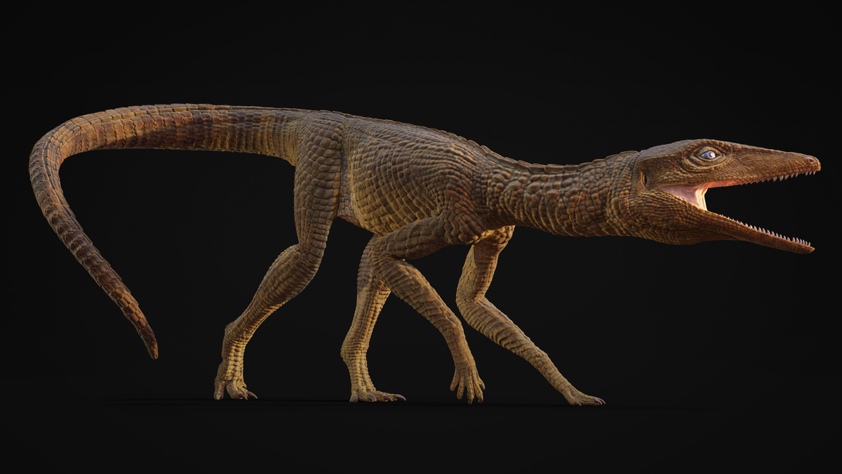 ancient crocodile galahadosuchus jonesi