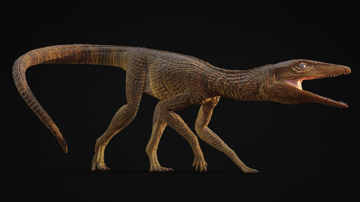 ancient crocodile galahadosuchus jonesi