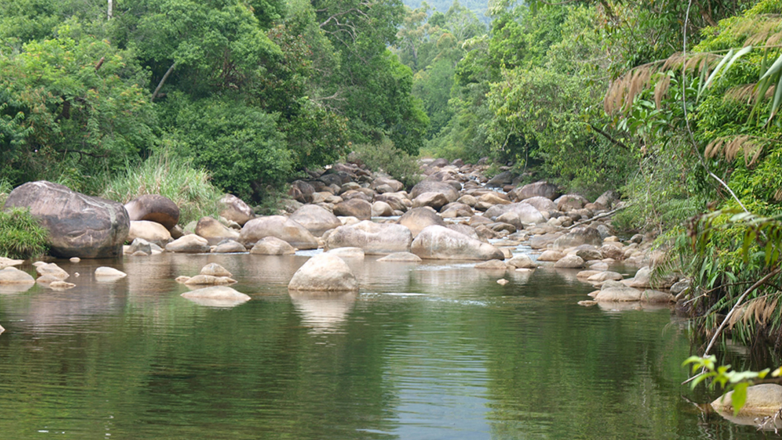 Scientists found several spiky animals lurking near streams in Vietnam and discovered two new species, the study said.