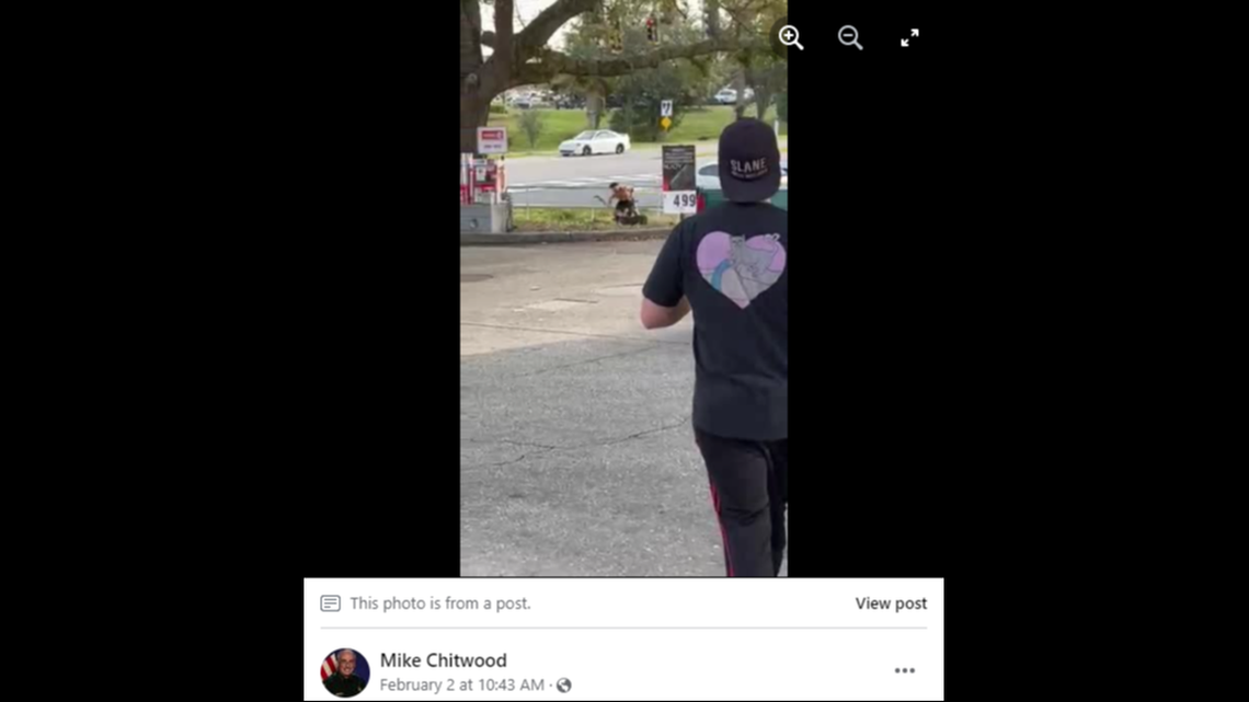 Bystanders who saw the man whip his dog immediately ran towards him and put themselves between him and the dog, photos and video show.