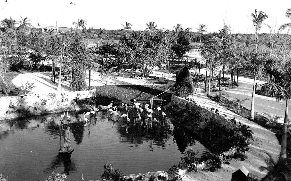 Overhead view of Tropical Panorama at Biscayne Boulevard and 185th Street, showing flamingo pool, with other attractions in the background. The theme park was open in the 1950s.