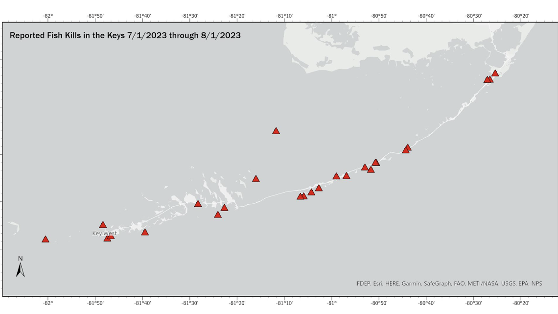 Some 60 fish kills have been reported along the length of the Florida Keys this summer. Scorching sea surface temperatures that reduce oxygen levels are to blame. Though they have mainy hit small fish in the shallows, scientists and fishing guides fear increasing temperatures could bring far worse ones this summer.