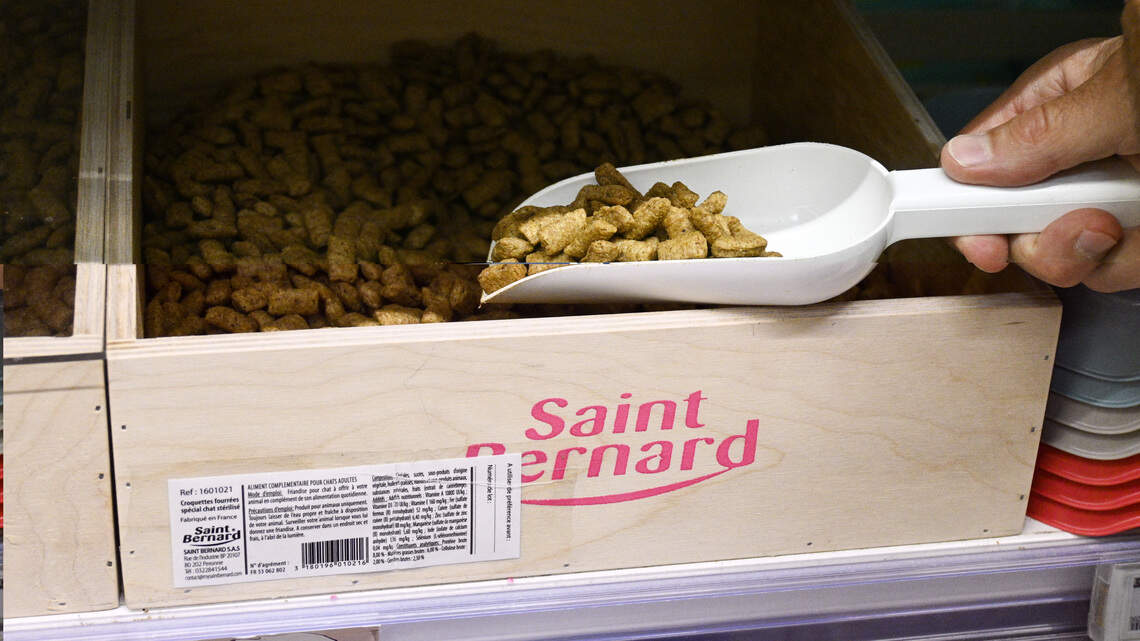 Your pet feeding station might be doing more harm than good when it comes to storing kibble safely